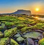 Đi Jeju Tự Túc Không Cần Visa