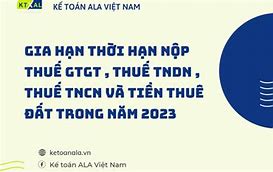 Hạn Nộp Thuế Thu Nhập Doanh Nghiệp 2024