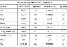 Kim Ngạch Xuất Khẩu Cá Tra Tháng 8 Năm 2022 Pdf Download