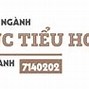 Ngành Giáo Dục Tiểu Học-Sư Phạm Tiếng Anh Là Gì Ạ Ạ