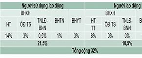 Người Sử Dụng Lao Động Đóng Bảo Hiểm Bao Nhiêu